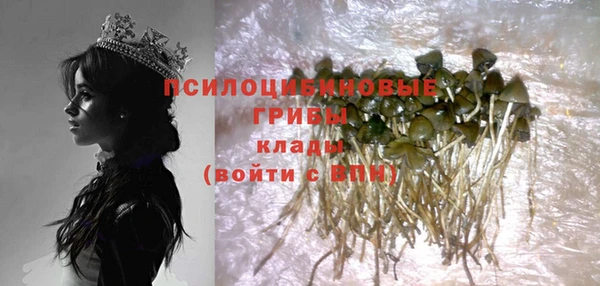таблы Ладушкин