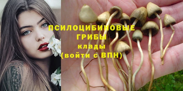 молекула духа Лагань